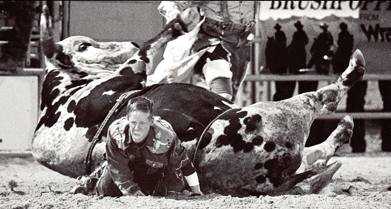 Newspaper-The-Bull-Rider